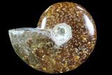 Polished, Agatized Ammonite (Cleoniceras) - Madagascar #88107-1